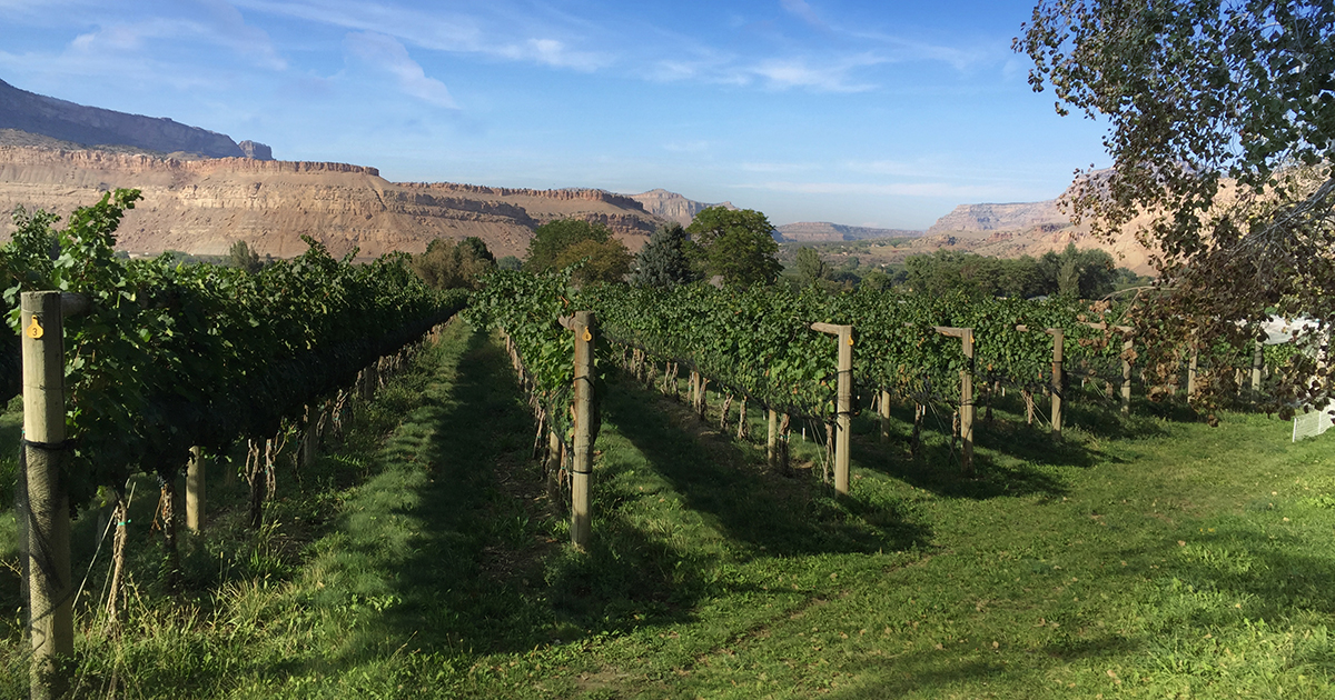 Wine Tasting Cape May Wineries Open Hawk Winery Cape May - Main Image